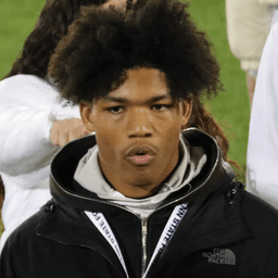 Phoenix Henriquez