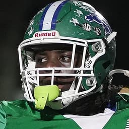 Saleh Robinson